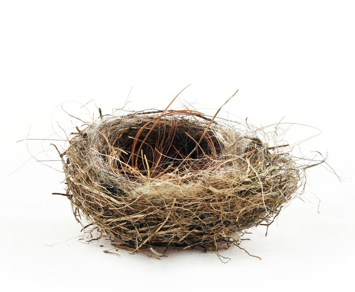 Empty nest